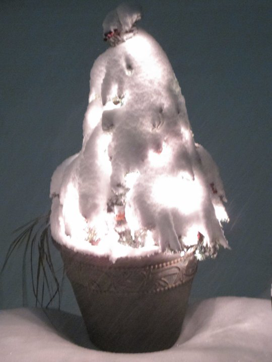 snow tree